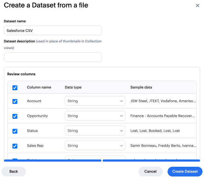 Create a Dataset from your file.