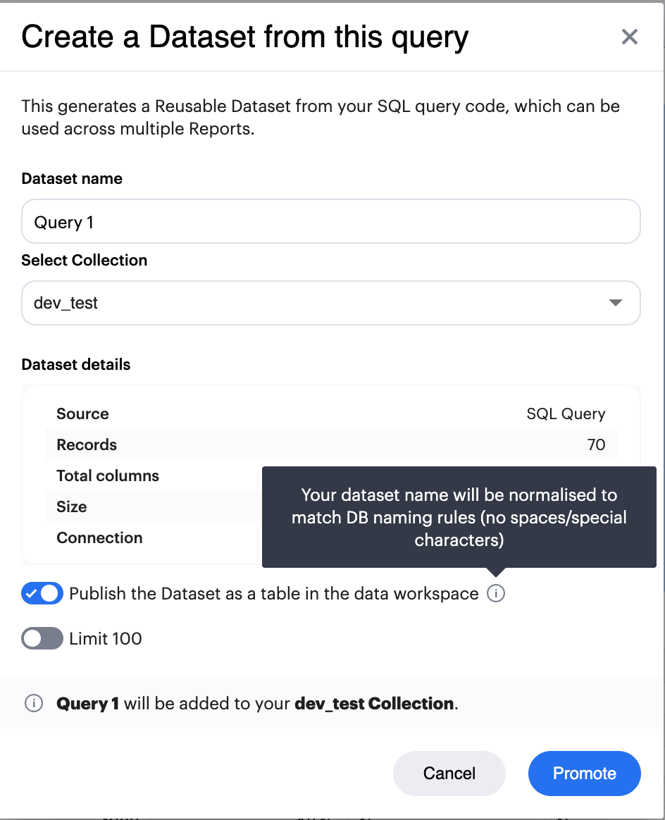 Toggle "Publish the Dataset as a table in the data workspace" and click "Promote"