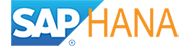 SAP HANA icon