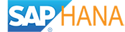 SAP HANA icon