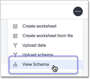 access schema viewer