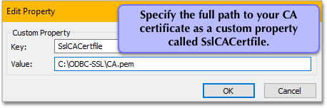 Specify the ful path to your CA certificate
